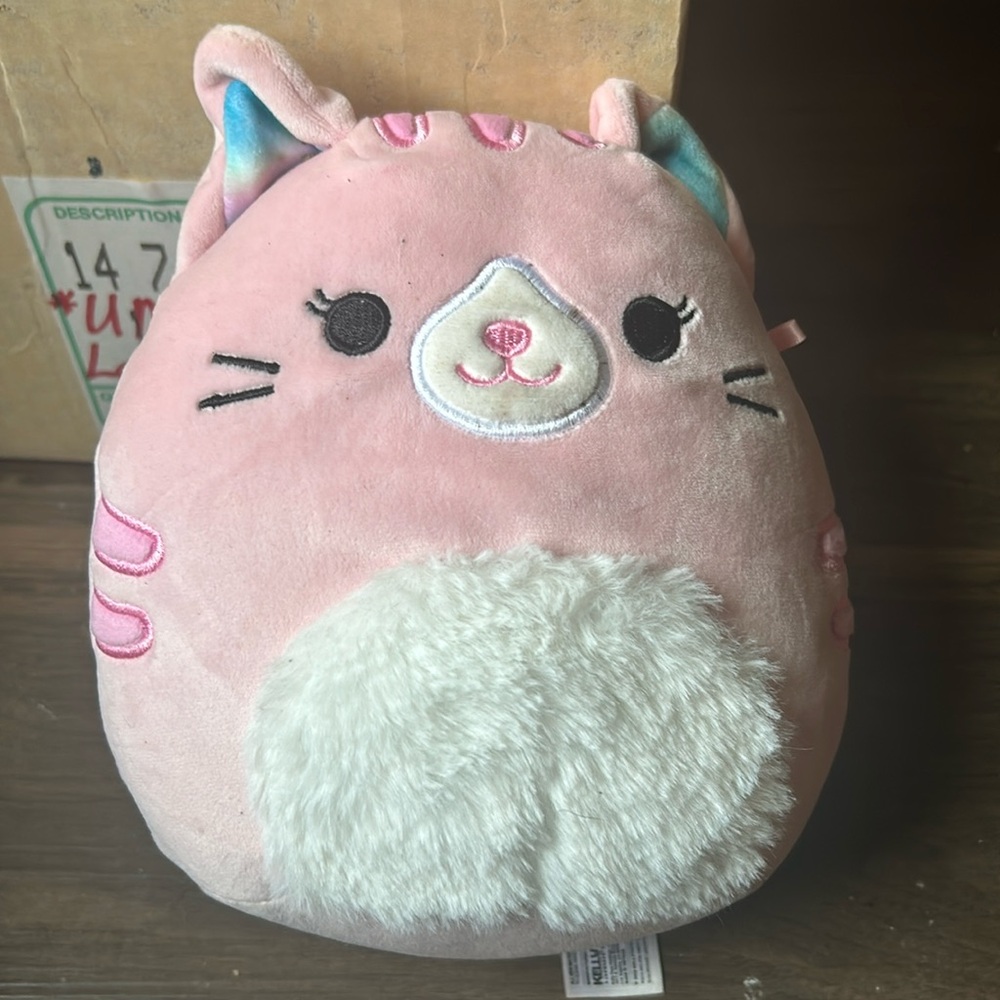 Squishmellow, I was gifted it by my ex. No longer want.